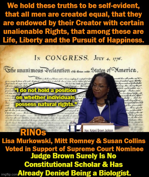 Supreme Court Justice or Social Justice Warrior? ? | image tagged in politics,supreme court,social justice warrior,rinos,leftists,no constitutional scholar | made w/ Imgflip meme maker