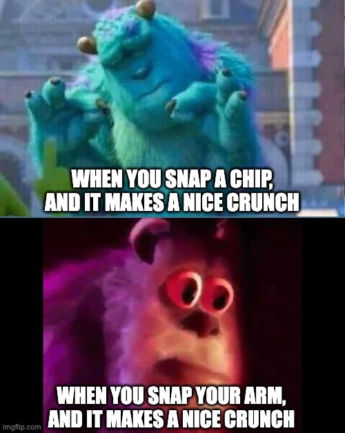 Sully Meme | WHEN YOU SNAP A CHIP, AND IT MAKES A NICE CRUNCH; WHEN YOU SNAP YOUR ARM, AND IT MAKES A NICE CRUNCH | image tagged in sully shutdown,monsters inc,sully groan,chip,memes | made w/ Imgflip meme maker