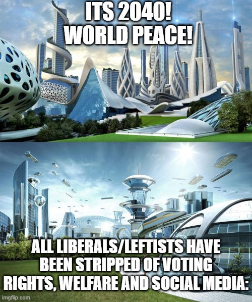 2040, World Peace!! |  ITS 2040! WORLD PEACE! ALL LIBERALS/LEFTISTS HAVE BEEN STRIPPED OF VOTING RIGHTS, WELFARE AND SOCIAL MEDIA: | image tagged in world peace | made w/ Imgflip meme maker
