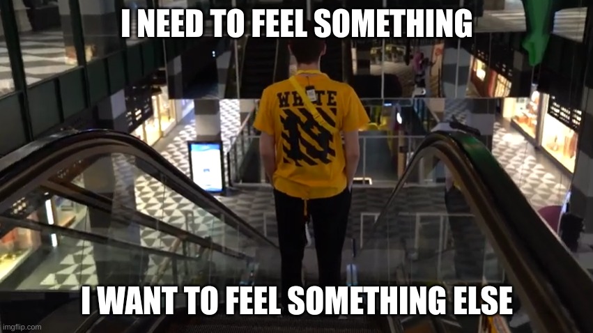 i need to feel something, anything | I NEED TO FEEL SOMETHING; I WANT TO FEEL SOMETHING ELSE | image tagged in schlatt on a escalator | made w/ Imgflip meme maker