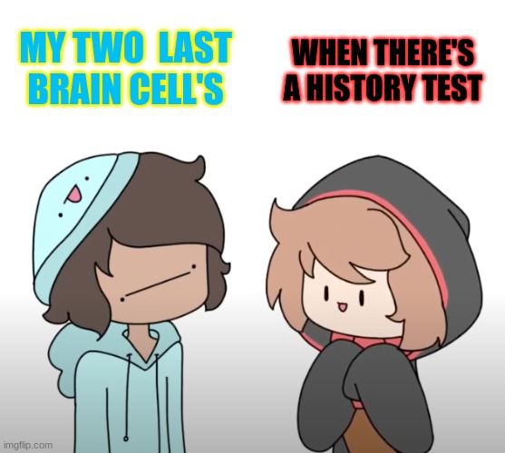 Skeppy & Bbh | MY TWO  LAST BRAIN CELL'S; WHEN THERE'S A HISTORY TEST | image tagged in skeppy bbh | made w/ Imgflip meme maker