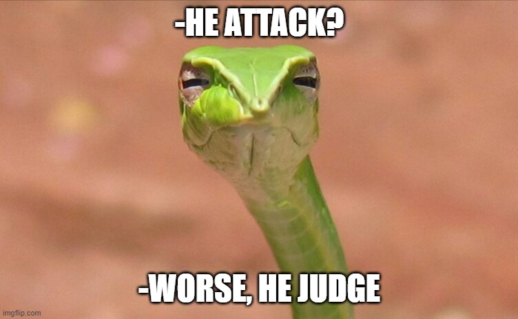 Don't Judge a Snek by It's Cover |  -HE ATTACK? -WORSE, HE JUDGE | image tagged in suspicious snek | made w/ Imgflip meme maker