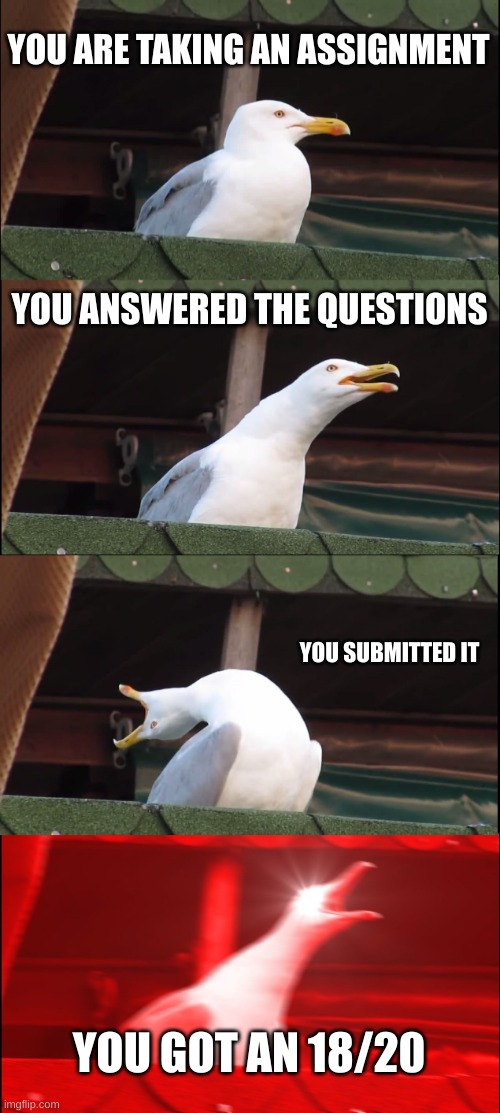 18/20 is an A but still | YOU ARE TAKING AN ASSIGNMENT; YOU ANSWERED THE QUESTIONS; YOU SUBMITTED IT; YOU GOT AN 18/20 | image tagged in memes,inhaling seagull | made w/ Imgflip meme maker