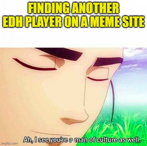 FINDING ANOTHER EDH PLAYER ON A MEME SITE | image tagged in ah i see you are a man of culture as well | made w/ Imgflip meme maker
