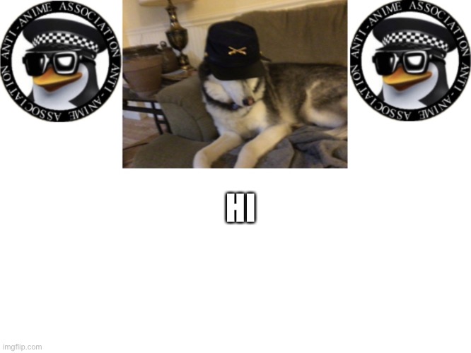 Shyro Announcement Template | HI | image tagged in shyro announcement template,aaa,wip | made w/ Imgflip meme maker