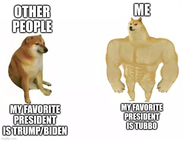 i miss L'Manberg | ME; OTHER PEOPLE; MY FAVORITE PRESIDENT IS TUBBO; MY FAVORITE PRESIDENT IS TRUMP/BIDEN | image tagged in cheems vs buuf cheems | made w/ Imgflip meme maker