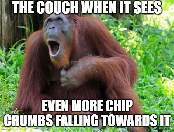 poor couch | THE COUCH WHEN IT SEES; EVEN MORE CHIP CRUMBS FALLING TOWARDS IT | image tagged in aghast ape | made w/ Imgflip meme maker