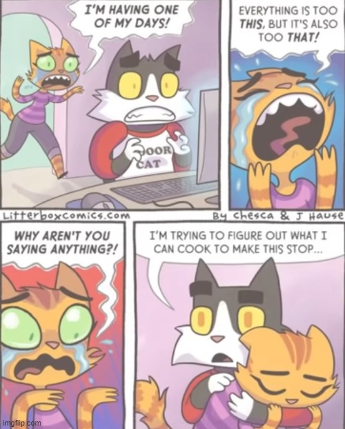 image tagged in comics | made w/ Imgflip meme maker