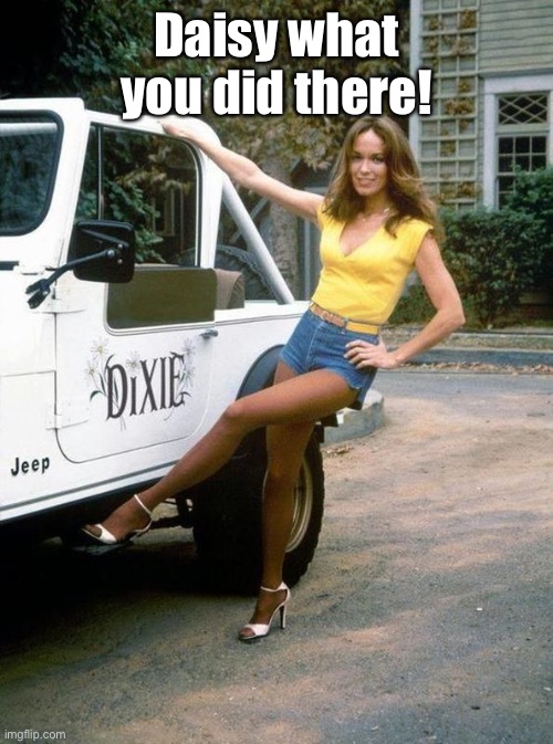 Daisy Duke | Daisy what you did there! | image tagged in daisy duke | made w/ Imgflip meme maker