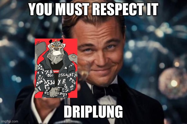 Driplung | YOU MUST RESPECT IT; DRIPLUNG | image tagged in memes,leonardo dicaprio cheers | made w/ Imgflip meme maker