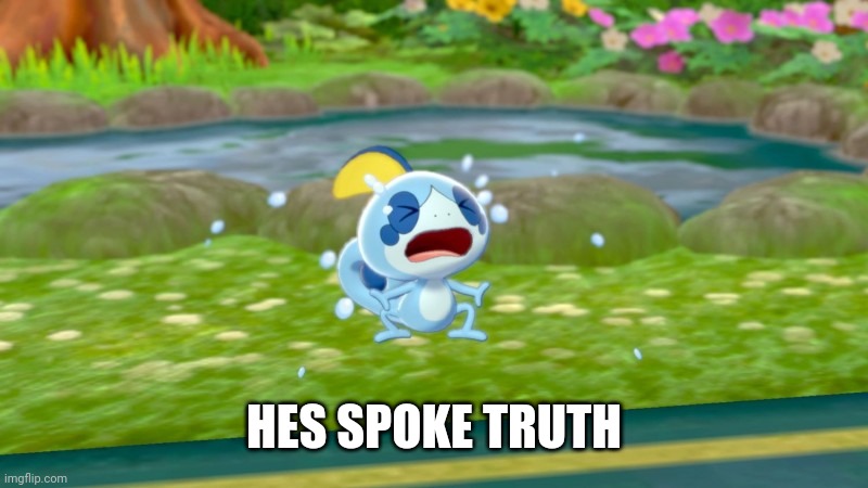 Crying Sobble | HES SPOKE TRUTH | image tagged in crying sobble | made w/ Imgflip meme maker