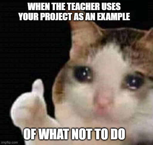 sad thumbs up cat |  WHEN THE TEACHER USES YOUR PROJECT AS AN EXAMPLE; OF WHAT NOT TO DO | image tagged in sad thumbs up cat | made w/ Imgflip meme maker