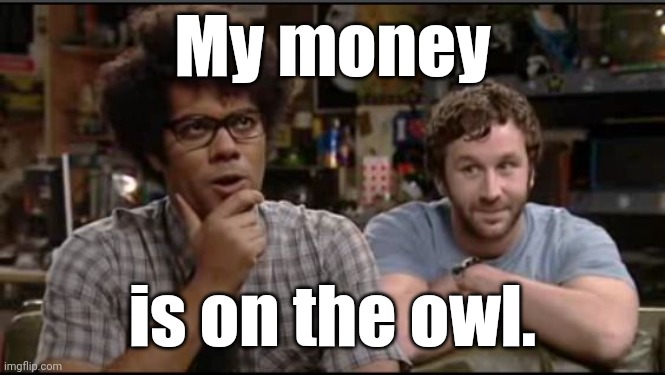 Moss and Roy It crowd | My money is on the owl. | image tagged in moss and roy it crowd | made w/ Imgflip meme maker