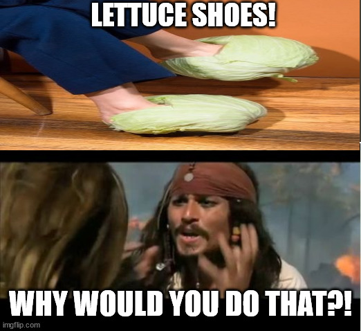 Why Is The Rum Gone Meme | LETTUCE SHOES! WHY WOULD YOU DO THAT?! | image tagged in memes,why is the rum gone | made w/ Imgflip meme maker