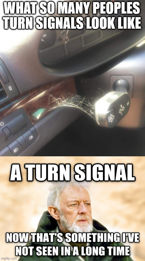 Use them, they help others. | WHAT SO MANY PEOPLES TURN SIGNALS LOOK LIKE | image tagged in bmw drivers,turn signals,a helping hand | made w/ Imgflip meme maker