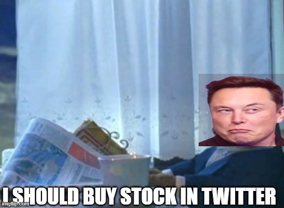 Elon Twitter | I SHOULD BUY STOCK IN TWITTER | image tagged in memes,i should buy a boat cat,elon musk,twitter,stocks | made w/ Imgflip meme maker