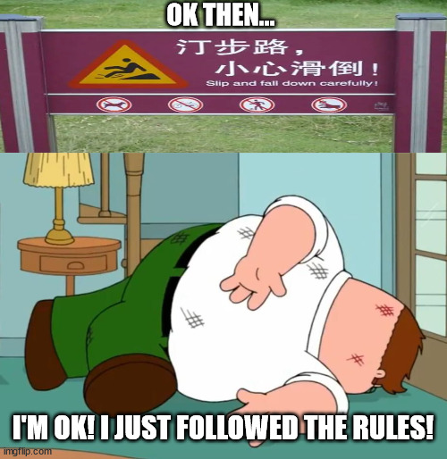Peter Griffin falling down | OK THEN... I'M OK! I JUST FOLLOWED THE RULES! | image tagged in peter griffin falling down | made w/ Imgflip meme maker