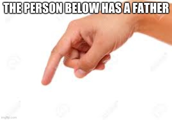 the person below | THE PERSON BELOW HAS A FATHER | image tagged in the person below | made w/ Imgflip meme maker