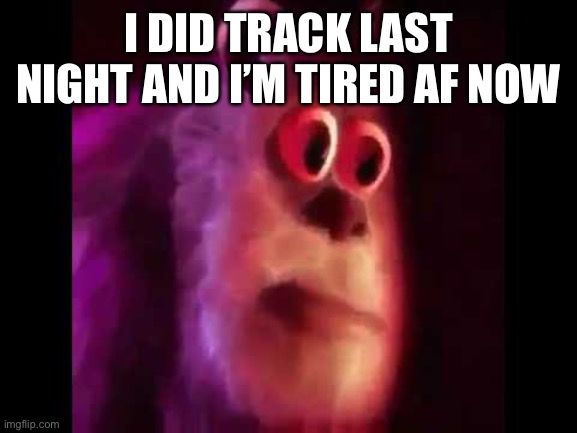 Sully Groan | I DID TRACK LAST NIGHT AND I’M TIRED AF NOW | image tagged in sully groan | made w/ Imgflip meme maker