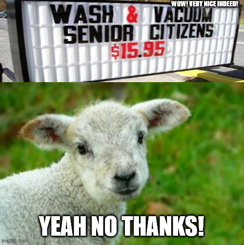 Ewe, no! | WOW! VERY NICE INDEED! YEAH NO THANKS! | image tagged in ewe no | made w/ Imgflip meme maker