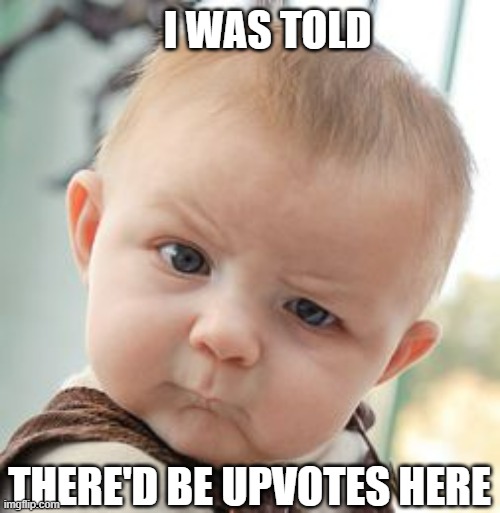 Skeptical Baby Meme | I WAS TOLD THERE'D BE UPVOTES HERE | image tagged in memes,skeptical baby | made w/ Imgflip meme maker