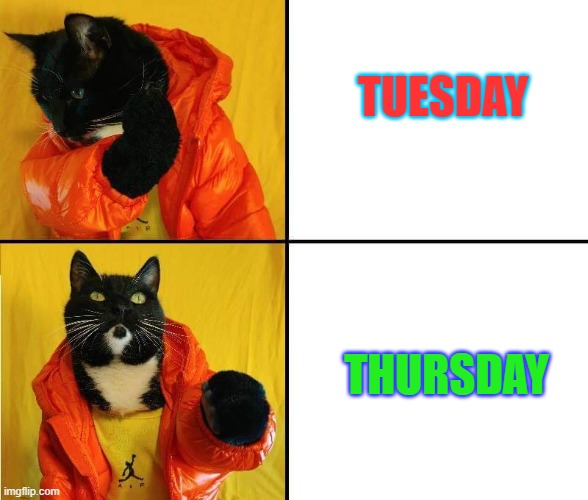 Kitty Drake | TUESDAY; THURSDAY | image tagged in kitty drake | made w/ Imgflip meme maker