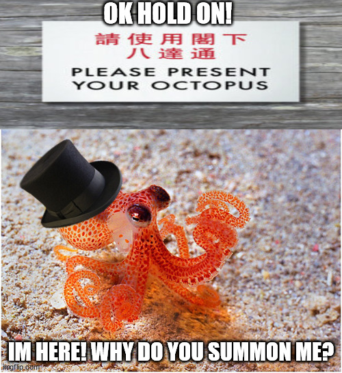 Sir octopus | OK HOLD ON! IM HERE! WHY DO YOU SUMMON ME? | image tagged in sir octopus | made w/ Imgflip meme maker