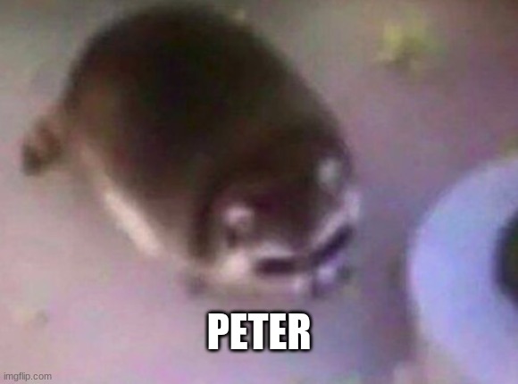 PETER | made w/ Imgflip meme maker