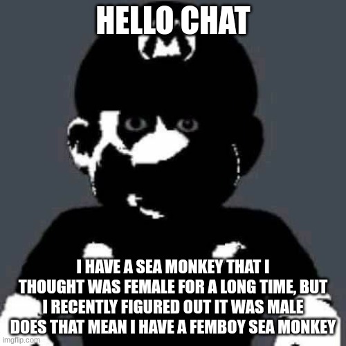 grey mario | HELLO CHAT; I HAVE A SEA MONKEY THAT I THOUGHT WAS FEMALE FOR A LONG TIME, BUT I RECENTLY FIGURED OUT IT WAS MALE
DOES THAT MEAN I HAVE A FEMBOY SEA MONKEY | image tagged in grey mario | made w/ Imgflip meme maker