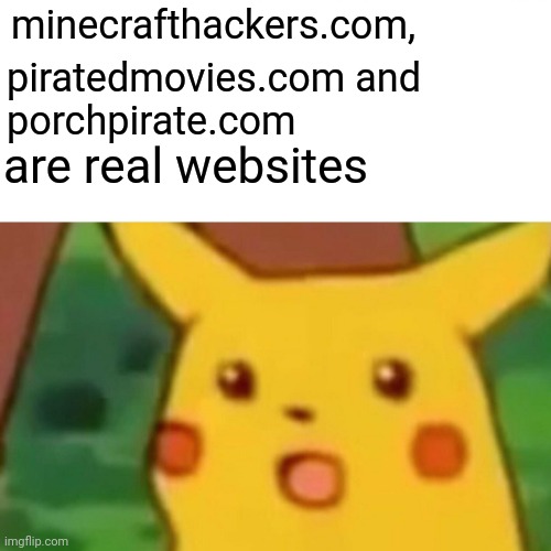 Surprised Pikachu | minecrafthackers.com, piratedmovies.com and
porchpirate.com; are real websites | image tagged in memes,surprised pikachu | made w/ Imgflip meme maker