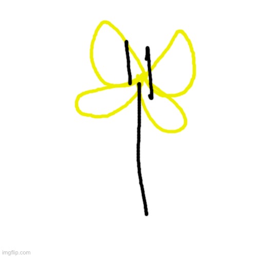 sunflower | image tagged in memes,blank transparent square | made w/ Imgflip meme maker