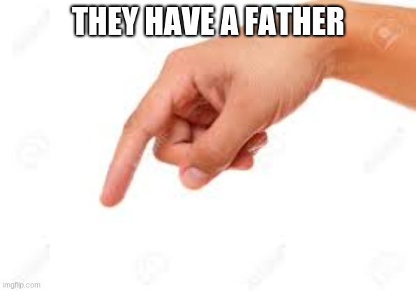 the person below | THEY HAVE A FATHER | image tagged in the person below | made w/ Imgflip meme maker