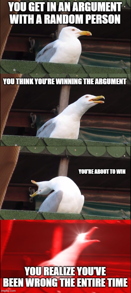 Inhaling Seagull | YOU GET IN AN ARGUMENT WITH A RANDOM PERSON; YOU THINK YOU'RE WINNING THE ARGUMENT; YOU'RE ABOUT TO WIN; YOU REALIZE YOU'VE BEEN WRONG THE ENTIRE TIME | image tagged in memes,inhaling seagull | made w/ Imgflip meme maker