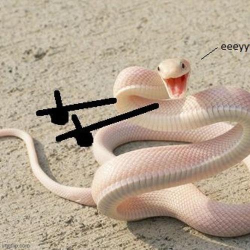 Snek Template | image tagged in cool snek,snek | made w/ Imgflip meme maker