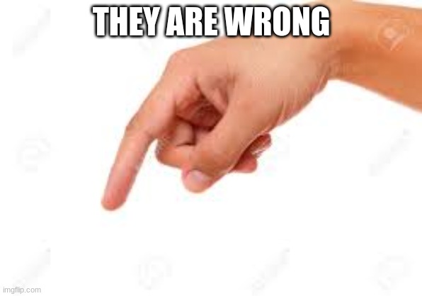 the person below | THEY ARE WRONG | image tagged in the person below | made w/ Imgflip meme maker