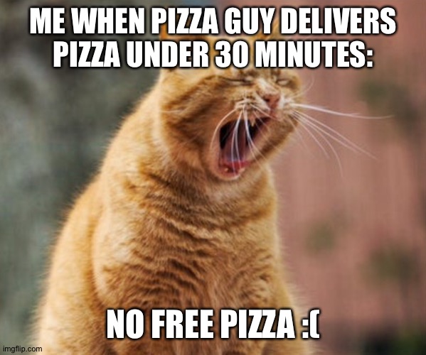Pizza delivery guy | ME WHEN PIZZA GUY DELIVERS PIZZA UNDER 30 MINUTES:; NO FREE PIZZA :( | image tagged in angry cat | made w/ Imgflip meme maker