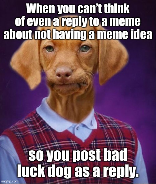 Bad Luck Dog | When you can’t think of even a reply to a meme about not having a meme idea so you post bad luck dog as a reply. | image tagged in bad luck dog | made w/ Imgflip meme maker