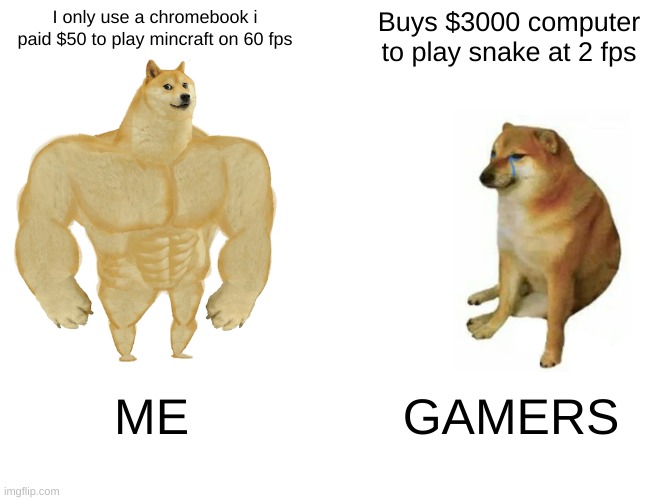 Buff Doge vs. Cheems Meme | I only use a chromebook i paid $50 to play mincraft on 60 fps; Buys $3000 computer to play snake at 2 fps; ME; GAMERS | image tagged in memes,buff doge vs cheems | made w/ Imgflip meme maker