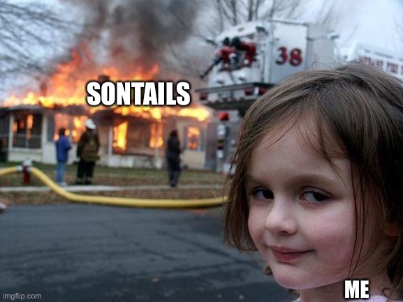 It had to be done | SONTAILS; ME | image tagged in memes,disaster girl,no,bad ship,yes burn it | made w/ Imgflip meme maker