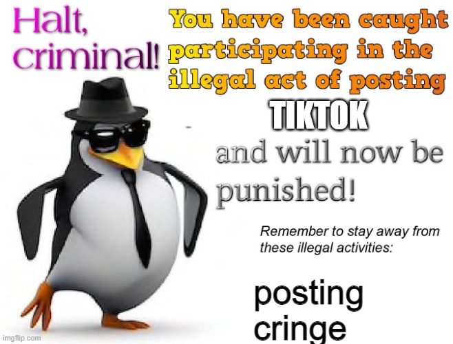 halt criminal! | TIKTOK posting cringe | image tagged in halt criminal | made w/ Imgflip meme maker