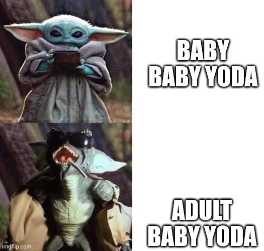 baby yoda gremlin | BABY BABY YODA; ADULT BABY YODA | image tagged in baby yoda gremlin | made w/ Imgflip meme maker