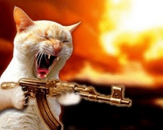 machine gun cat | image tagged in machine gun cat | made w/ Imgflip meme maker