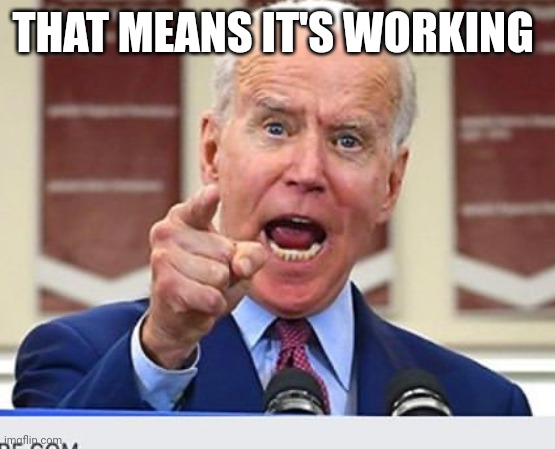 Joe Biden no malarkey | THAT MEANS IT'S WORKING | image tagged in joe biden no malarkey | made w/ Imgflip meme maker