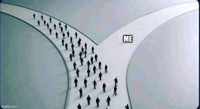 two paths | ME | image tagged in two paths | made w/ Imgflip meme maker