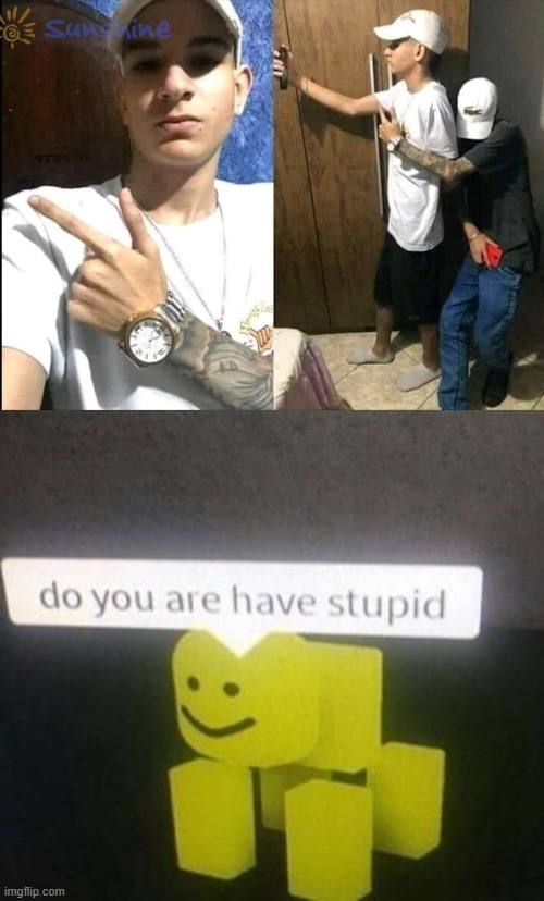 image tagged in are you have stupid | made w/ Imgflip meme maker