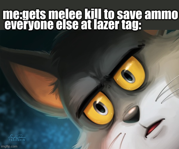 Unsettled Tom Stylized | me:gets melee kill to save ammo; everyone else at lazer tag: | image tagged in unsettled tom stylized | made w/ Imgflip meme maker