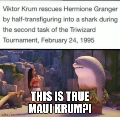 Bruh, Disney stole the half shark half man idea | THIS IS TRUE
MAUI KRUM?! | image tagged in maui,viktor krum,harry potter,moana | made w/ Imgflip meme maker