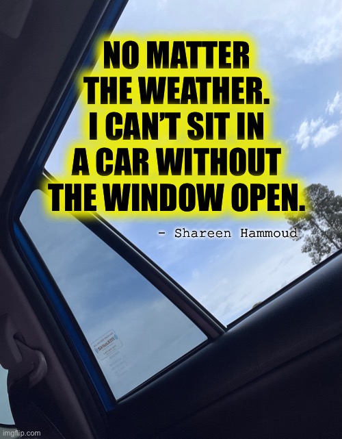 Triggers | NO MATTER THE WEATHER. I CAN’T SIT IN A CAR WITHOUT THE WINDOW OPEN. - Shareen Hammoud | image tagged in ptsdsymptoms,symptoms,trauma,abuse,domestic violence | made w/ Imgflip meme maker
