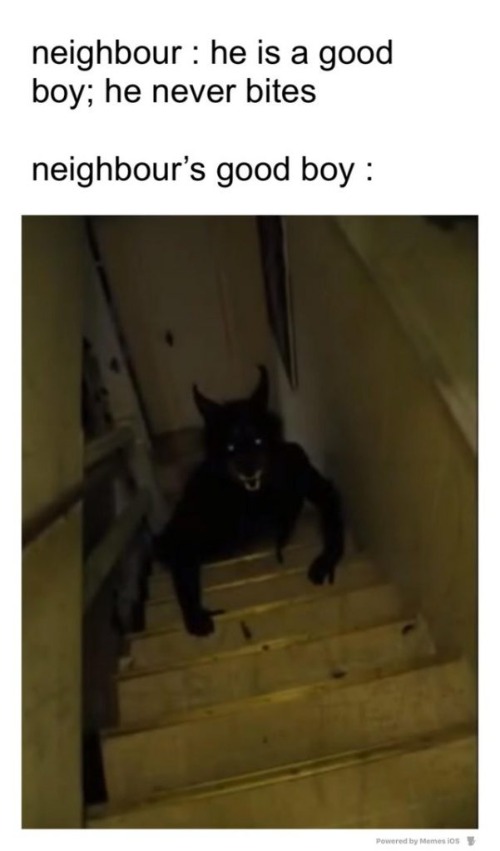 image tagged in memes | made w/ Imgflip meme maker