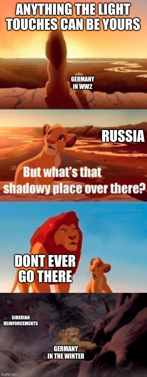 ww2 be like | ANYTHING THE LIGHT TOUCHES CAN BE YOURS; GERMANY IN WW2; RUSSIA; DONT EVER GO THERE; SIBERIAN REINFORCEMENTS; GERMANY IN THE WINTER | image tagged in memes,simba shadowy place | made w/ Imgflip meme maker